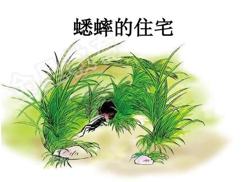 ���סլ����ppt�μ�