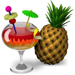 HandBrake软件下载|HandBrake免费视频转换器 V1.3.3中文版