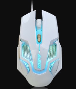 �ھ������������