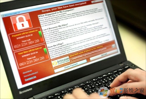 ������������XP��