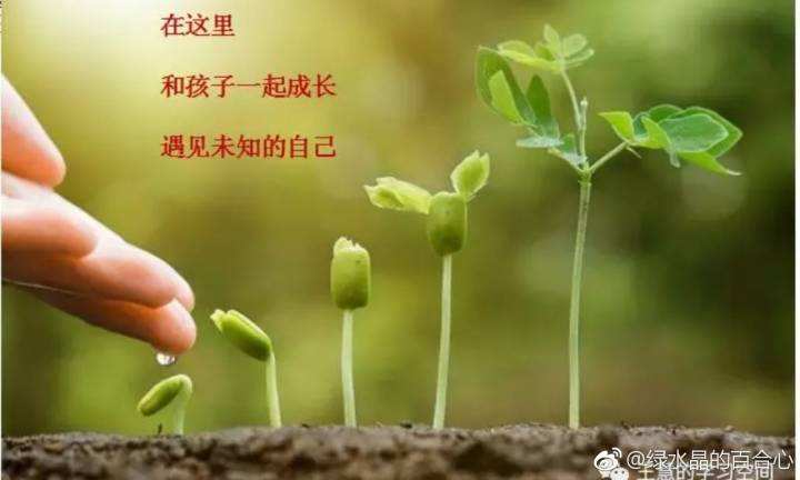 ��ĸ�뺢��֮��İ�����PPT_��ĸ�뺢��֮��İ�ppt�μ�