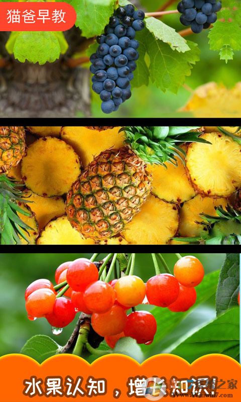 ������ˮ����Ϸ 