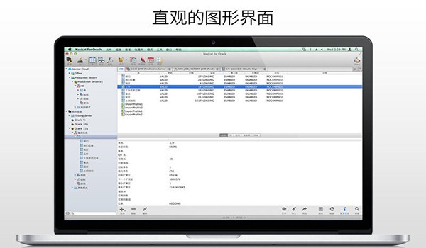 Navicat for Oracle���ݿ�������� V15.0.9�������İ�