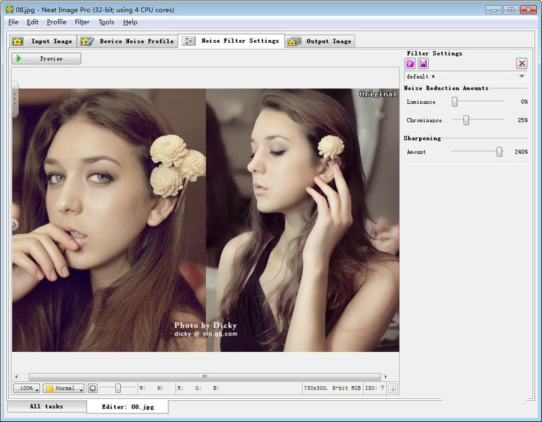 neat image�˾�����_neat imageĥƤ�˾�������