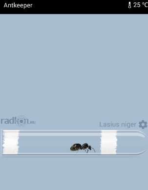 Antkeeper饲养蚂蚁游戏 v1.2.11 汉化版