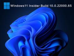 Win11�����ļ�����|Win11ϵͳ����64λ����רҵ�� v2021.12