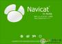 navicat for MySQL 12�ƽⲹ��_navicat for MySQL v12�ƽ⹤��(ͨ�ð�)