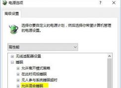 Win10ϵͳ���Բ����Զ�����˯��ģʽ�Ľ������