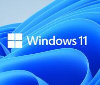 Win11ϵͳ��װ���� 2024�ٷ���