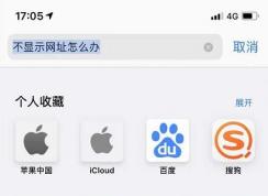 ƻ���ֻ�/iPad�޷������������ַ�Ľ������