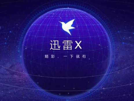 Ѹ��Xȥ���SVIP�� V10.1.34.798��ɫ��