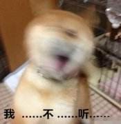 �Ҳ����Ҳ���΢��QQ����� ��Ѱ�