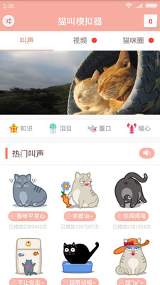猫叫狗叫模拟器下载