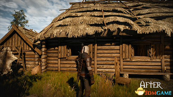 巫师3:狂猎 v1.31真实老旧木头贴图纹理MOD