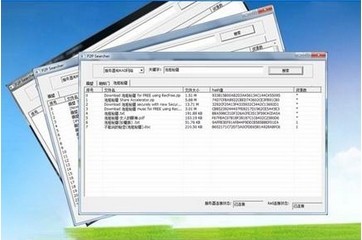 P2PSearcher������������