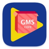 GMS安装器 安卓版v4.8.4