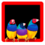 ������ʾ����������