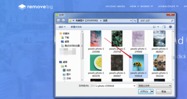 removebg������ͼ���� v1.0.5��ɫ��