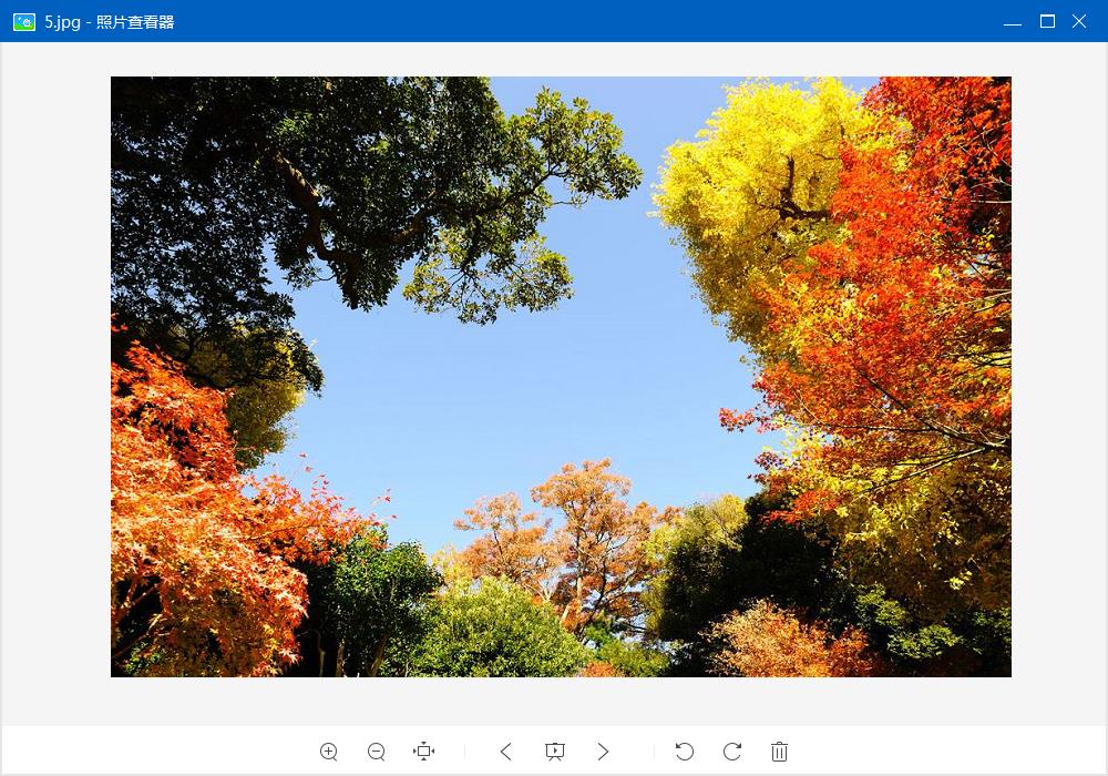 ��Ƭ�鿴��(��Լ��ͼ��)