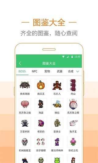 4399泰拉瑞亚助手