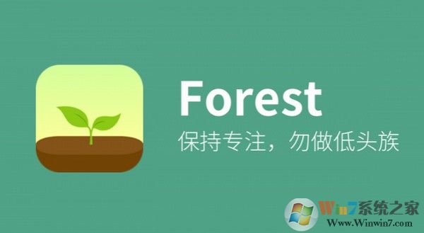 Forest专注森林