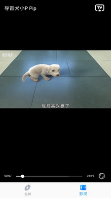 �ܲ�����Ͷ������