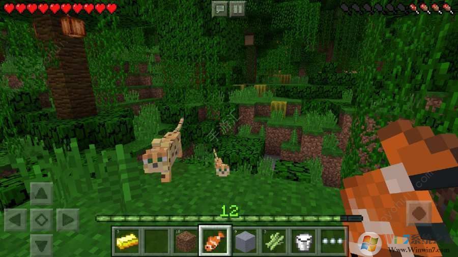 我的世界Java版电脑版