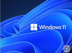 Win11ϵͳ��ô����Win11ϵͳ�¹���/����/����/�������Ҫ��(ͼ�����)