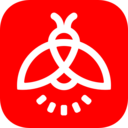 火萤手机视频壁纸APP 安卓版V10.1.22