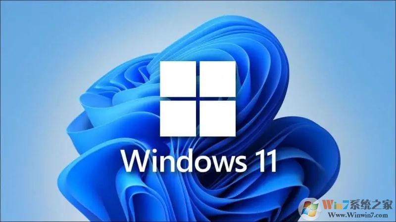 Win11��ͥ���רҵ����ʲô����Win11��ͥ���רҵ���ĸ����ã�