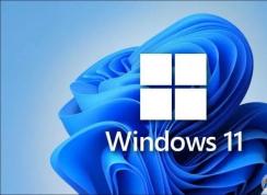 Win11��ͥ���רҵ����ʲô����Win11��ͥ���רҵ���ĸ����ã�
