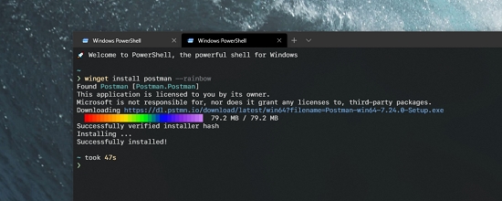 Windows �����������