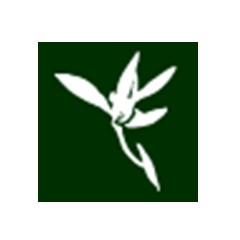 Blumind˼ά��ͼ����