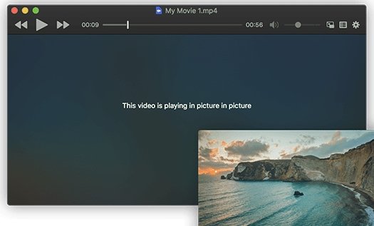 IINA��Ƶ������ V1.2.0Mac��