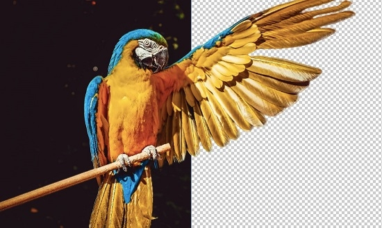 Removal(AI���������Ƴ�) v3.5��ɫ�ƽ��