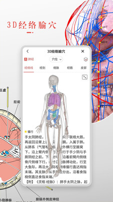 3Dbody解剖(3D人体模型)