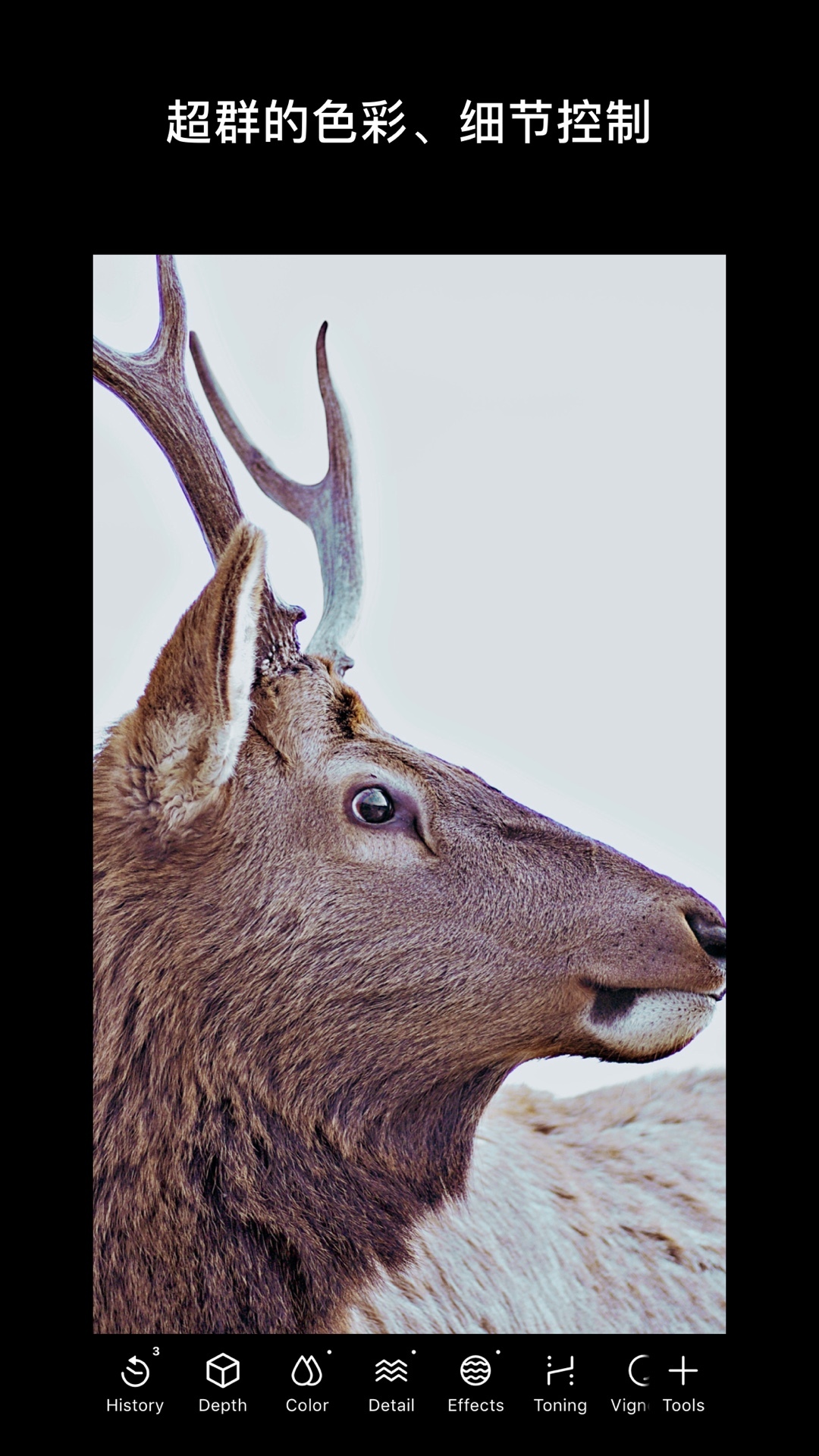 泼辣修图APP安卓版(解锁所有功能)