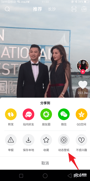 ��������Ƶ����