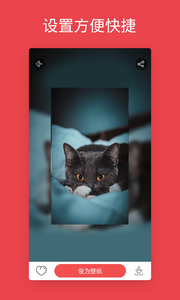 安卓手机桌面动态壁纸