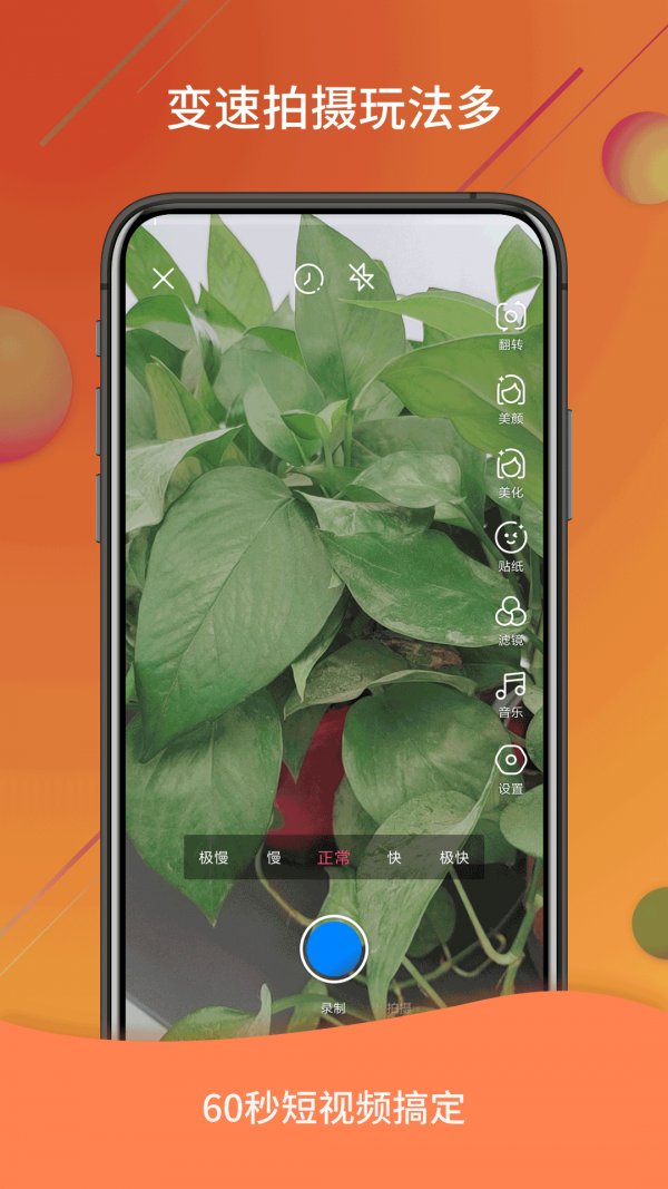 微视频号 微视频号