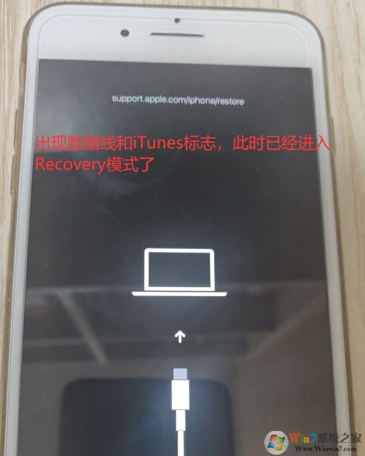 �ɹ�����ָ�ģʽ