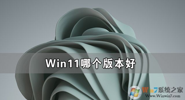 Win11�ĸ��汾��
