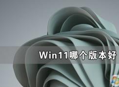 Win11ϵͳĸ汾,Win11õİ汾