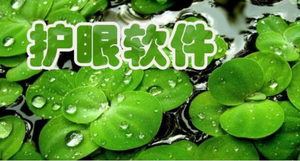 护眼软件下载排行_电脑护眼软件_屏幕护眼软件大全