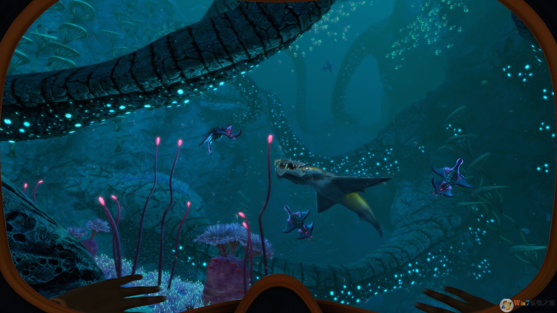 ��Ժ�:���֮��