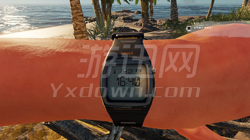 ���ǳ���԰������ƽ��