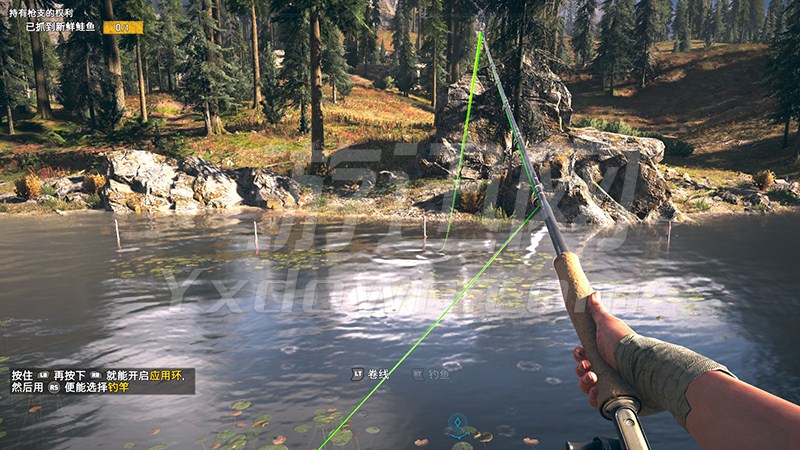 Զ��5(�µ�����5)���İ�