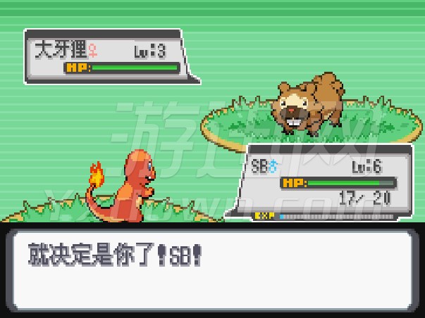 �ڴ����ְ׽��