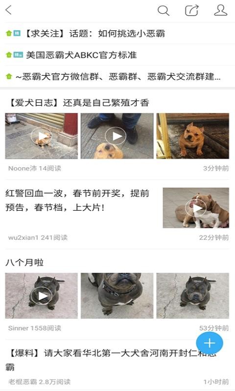 猛犬俱乐部 猛犬俱乐部