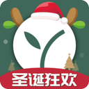 �����̳�